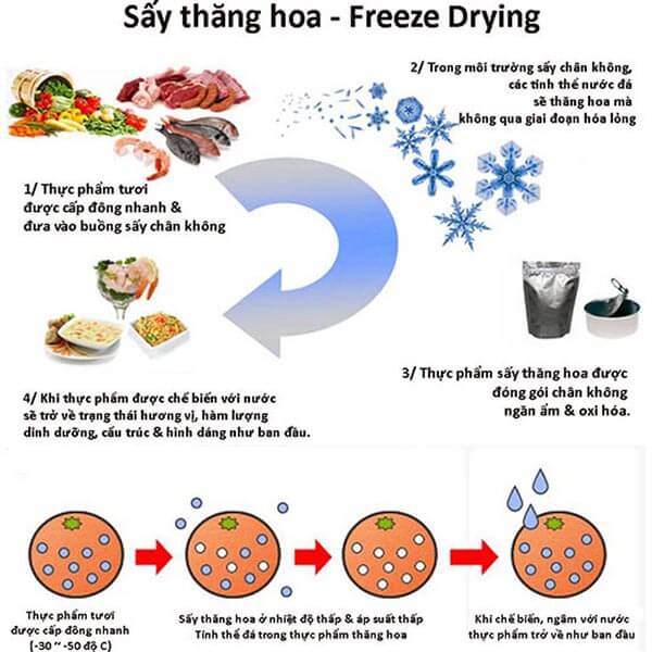 quy trình sấy thăng hoa