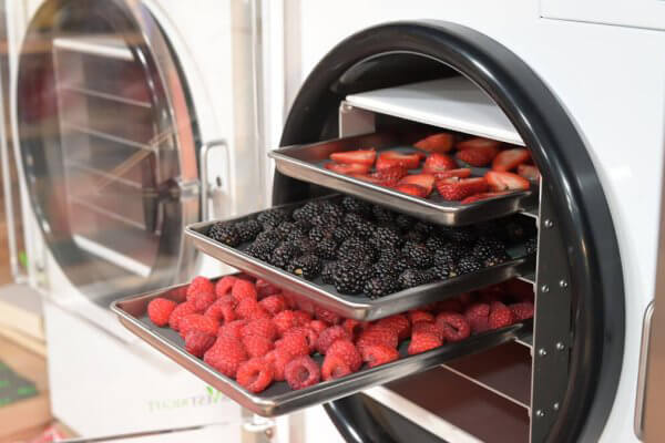 cách giữ thực phẩm đông khô an toàn