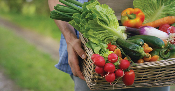 cách lựa chọn rau củ sấy theo các phương pháp hợp lý