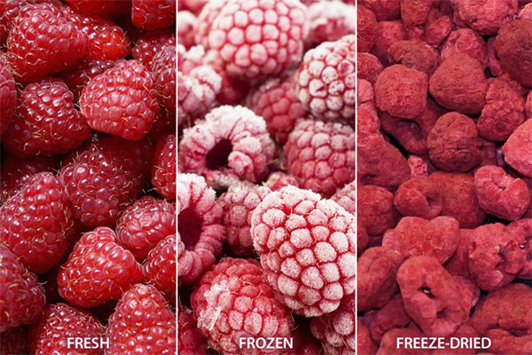 có nên lựa chọn phương pháp sấy động khô