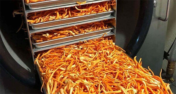 các quá trình giai đoạn sấy thăng hoa