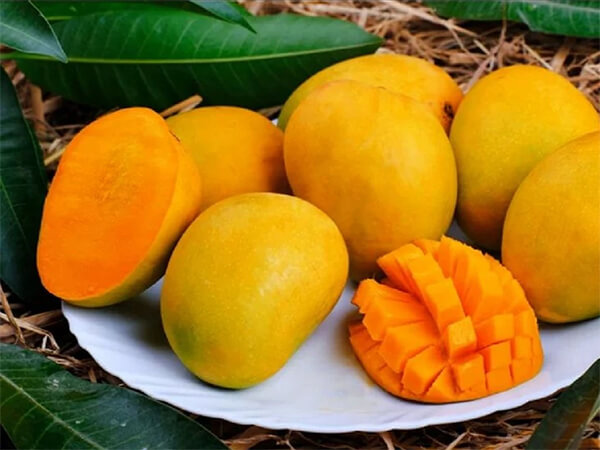 dinh dưỡng của trái xoài