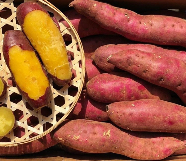 dinh dưỡng từ củ khoai lang