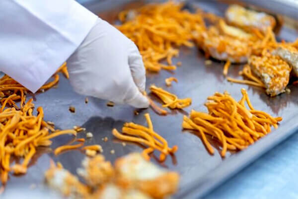 sấy dược phẩm với công nghệ sấy thăng hoa