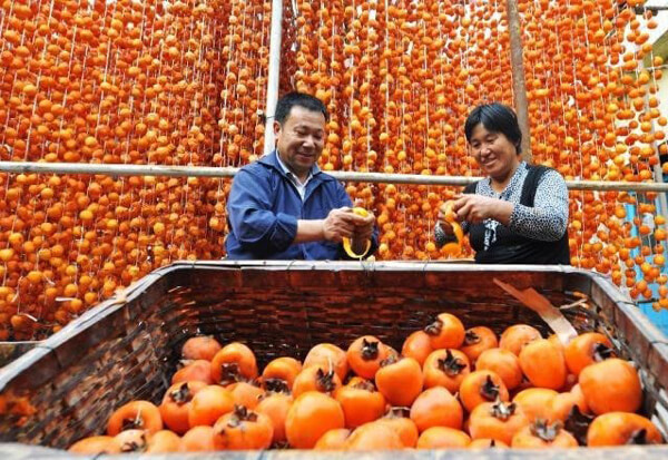 lợi ích từ hồng dẻo