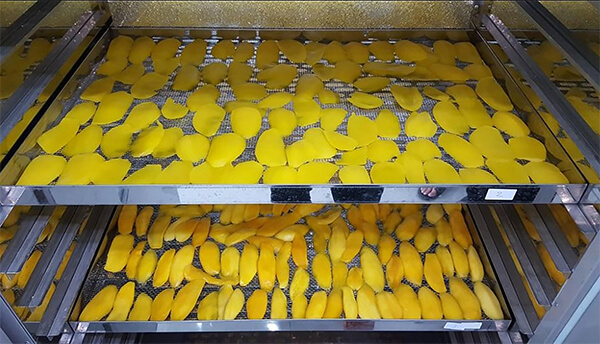 hướng dẫn sử dụng máy sấy thăng hoa trái cây a-z