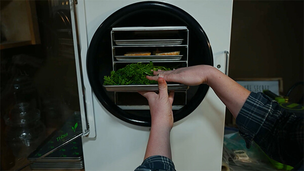 máy sấy thực phẩm đông lanh nhỏ gọn cho gia đình