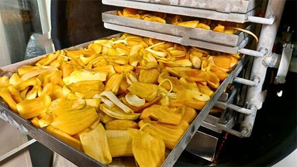 mít sấy bằng phương pháp sấy thăng hoa