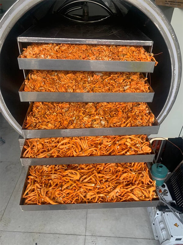 sấy đông khô hay còn gọi là sấy thăng hoa