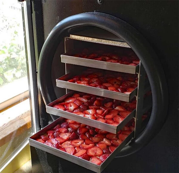 so sánh dinh dưỡng và đường trong trái cây sấy động khô