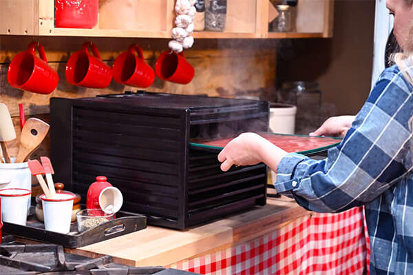 sự khác biệt giữa thực phẩm sấy và thực phẩm khử nước