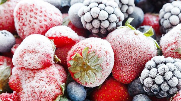 ưu nhược điểm của thực phẩm đông khô