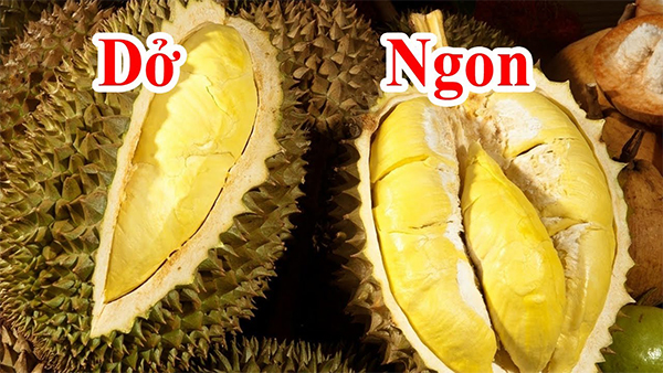 cách chọn sầu riêng thơm ngọt bùi