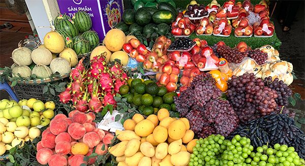 cách chọn trái cây tươi sấy khô