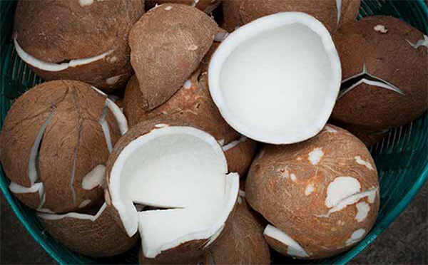 chọn cơm dừa làm mứt