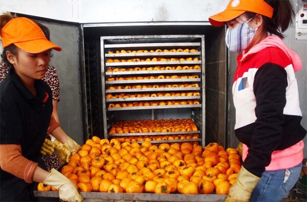 hồng sấy bằng máy sấy