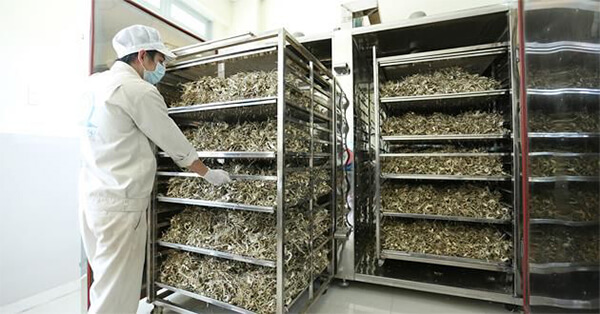 nguyên lý máy sấy dược liệu hoạt động