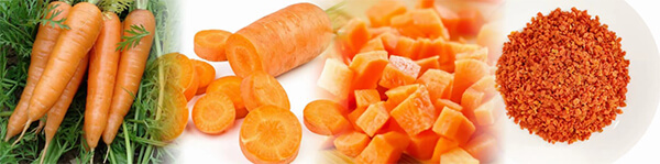 quy trình sấy thăng hoa