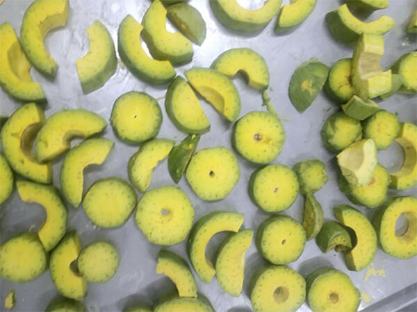 sấy thăng hoa trái bơ như thế nào