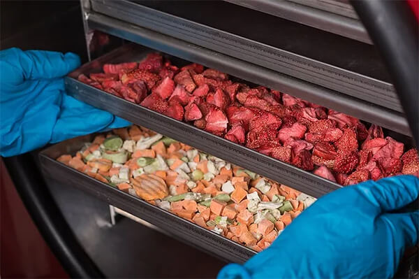 bảng so sánh các phương pháp sấy thực phẩm trái cây