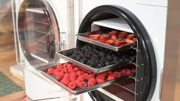 tìm hiểu các phương pháp sấy trái cây