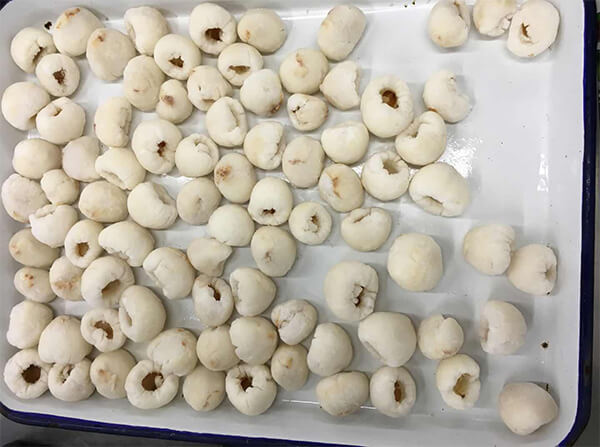 vải sấy đông lạnh