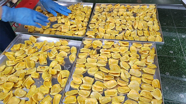 bảng giá máy sấy mít thăng hoa