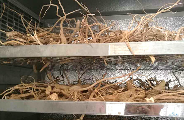 nguyên lý cấu tạo dươc liệu sấy khô