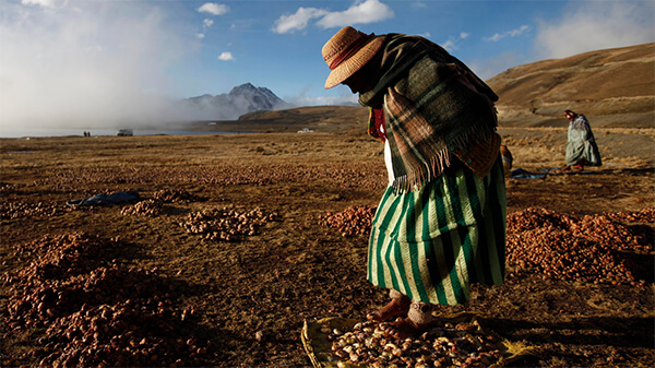 lịch sử ra đời sấy khô