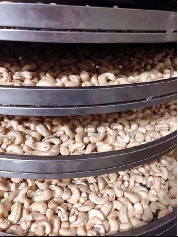 máy sấy hạt điều có mấy loại