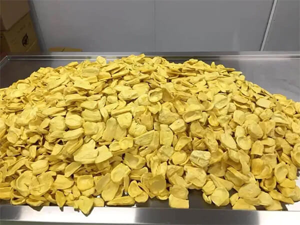 máy sấy mít thăng hoa