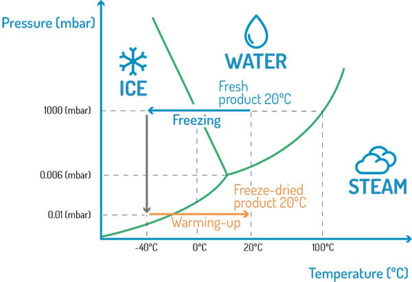 đồ thị quá trình sấy đông khô
