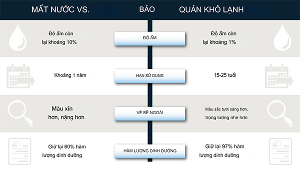 quy trình sấy động khô va lạnh