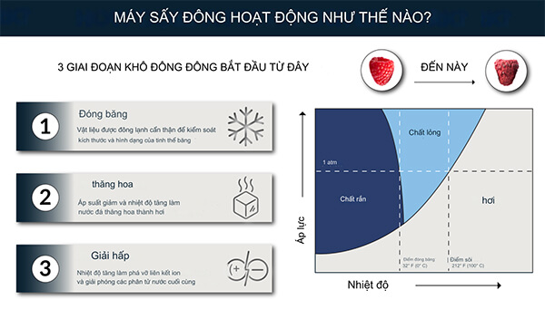 3 quy trình sấy cơ bản sấy đông