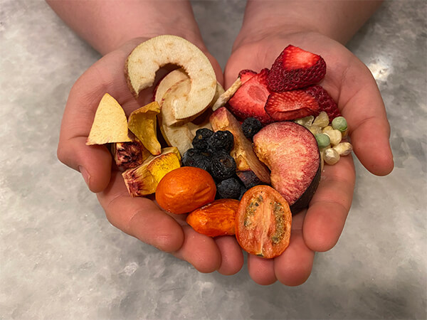 tại sao nên chọn thực phẩm sấy thăng hoa