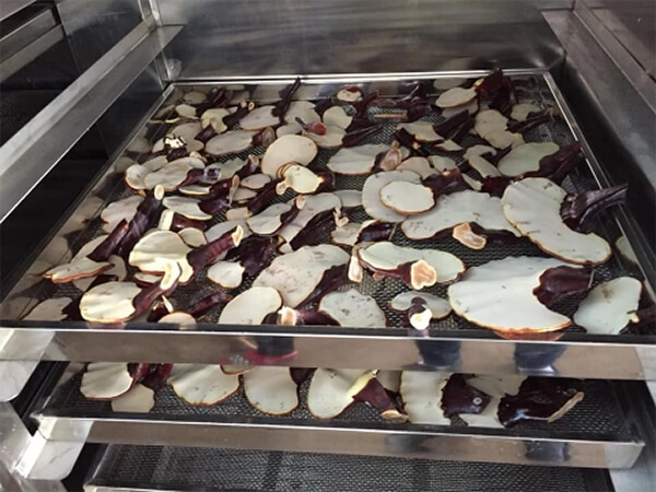 tủ sấy dược liệu gia đình