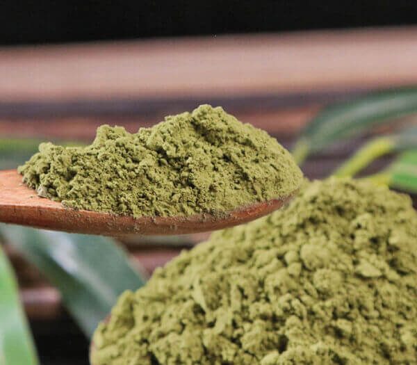 công dụng của bột lá tía tô