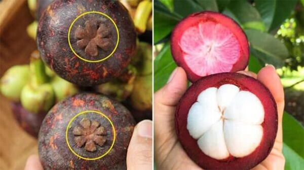 lựa chọn măng cụt như thế nào