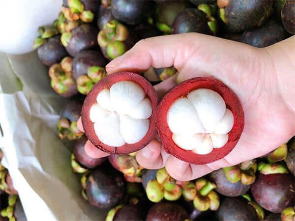 măng cụt kị ăn với món gì
