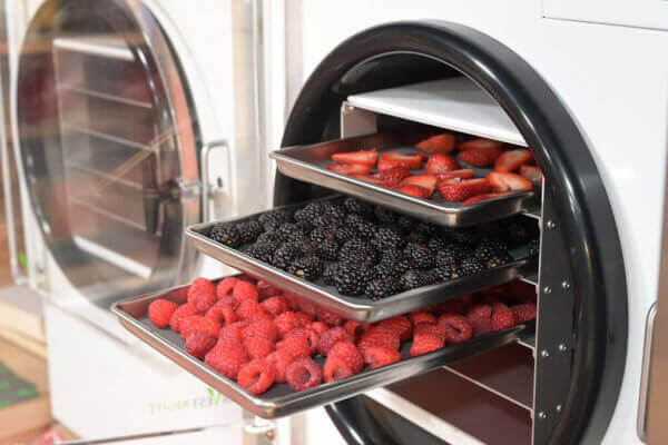 chất lượng sản phẩm sau khi sấy thăng hoa