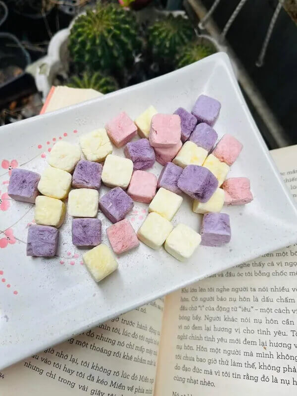 chế biến sữa sấy đông khô