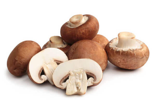 Nấm Portobello (Agaricus bisporus)