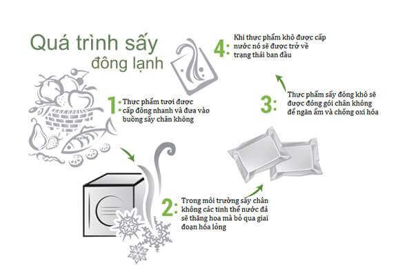 quy trình sấy đông khô