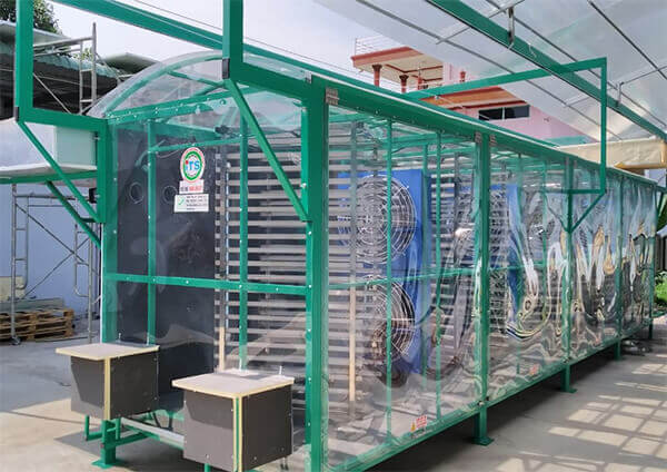 máy sấy cây hoa quả năng lượng mặt trời