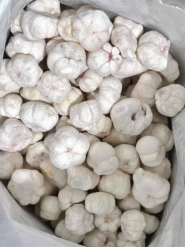 tại sao nên bảo quản măng cụt sấy thăng hoa