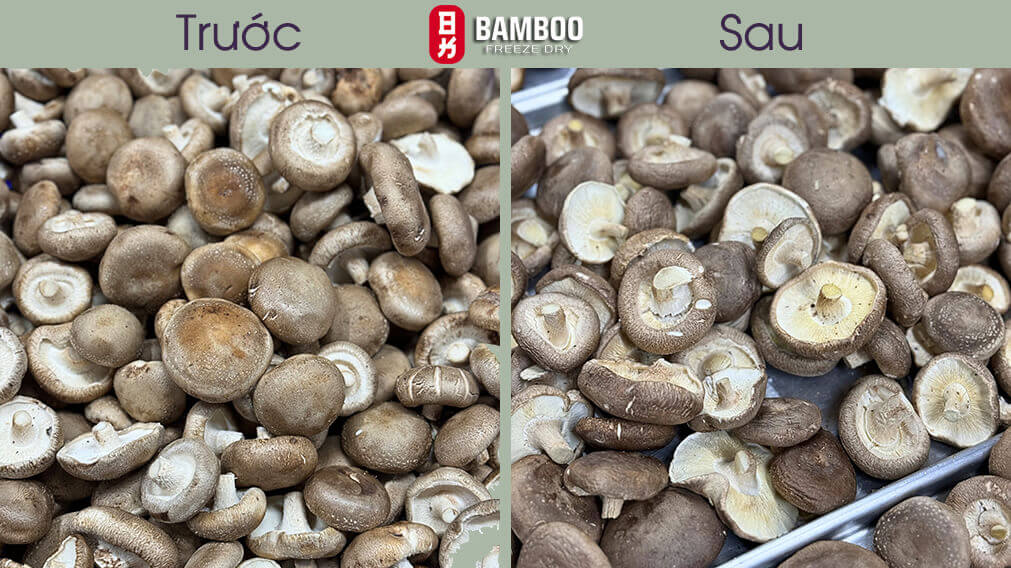 cách bảo quản nấm hương sấy thăng hoa