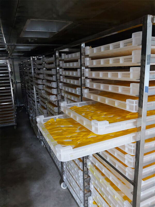 lưu ý khi sấy trái cây