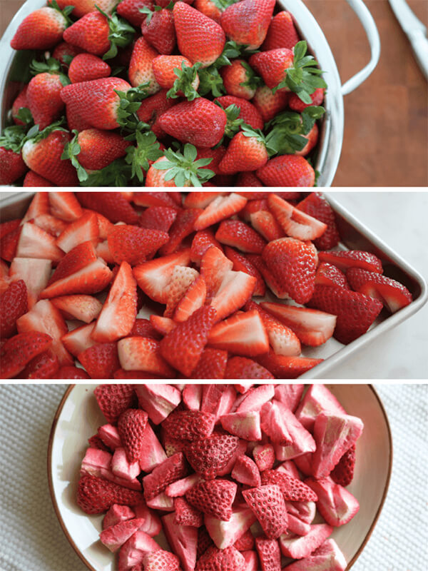 Quy trình thực hiện sấy thăng hoa và sấy nhiệt