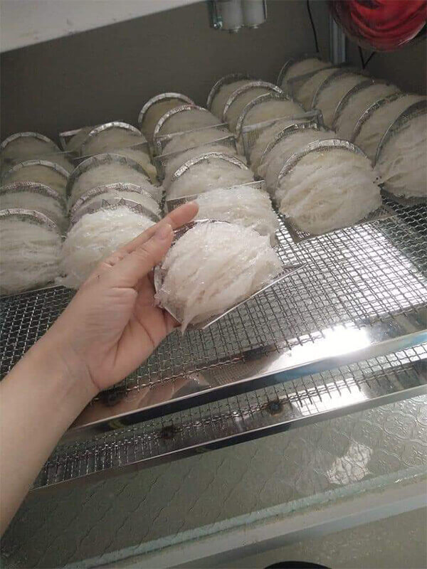 giá máy sấy tổ yến các loại