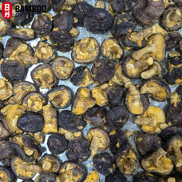 Snack nấm hương sấy thăng hoa gói nhỏ